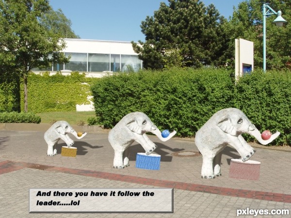Creation of Follow the leader: Step 4