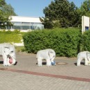 three elephants source image