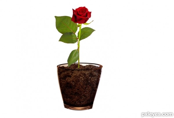 Creation of I found love 2day: Step 2