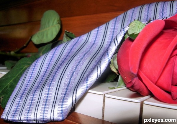 Tie with a Rose