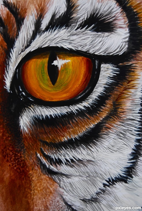 Creation of THe Eye of the Tiger: Final Result