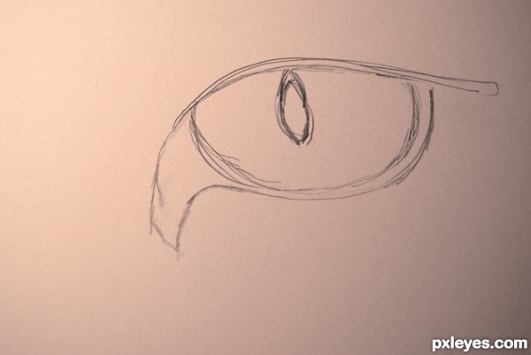 Creation of THe Eye of the Tiger: Step 1