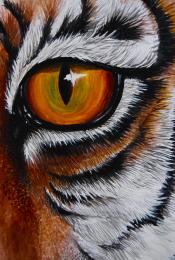 THe Eye of the Tiger Picture