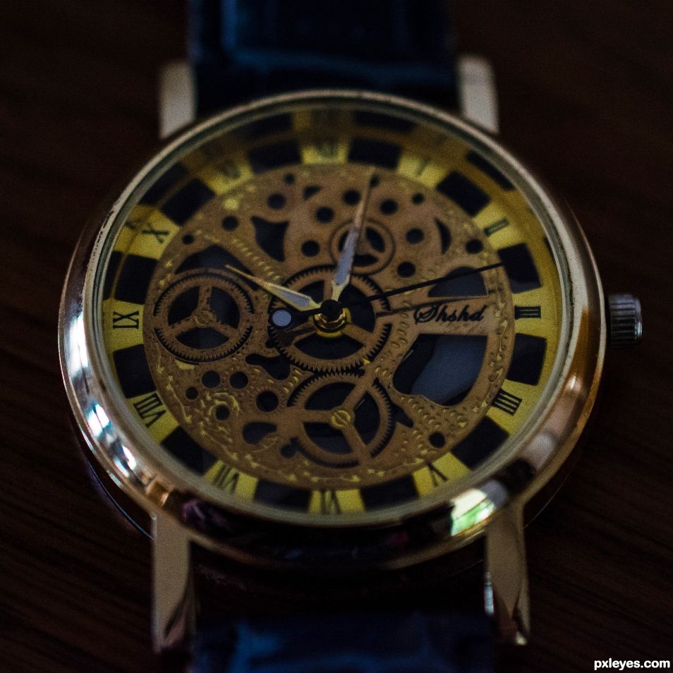 False cogwheels, real watch!