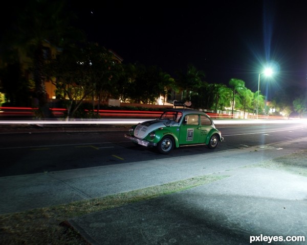 Australian Beetle