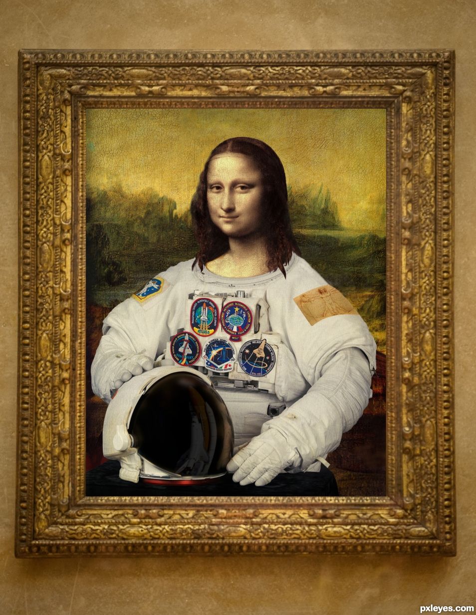 Mona Lisa coming from space