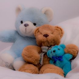 TeddyBearsareforever