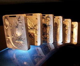 Creepy Crawlers