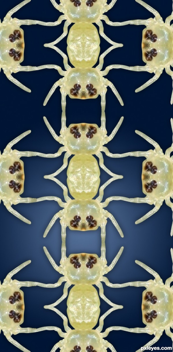 Creation of Spiders!: Step 1