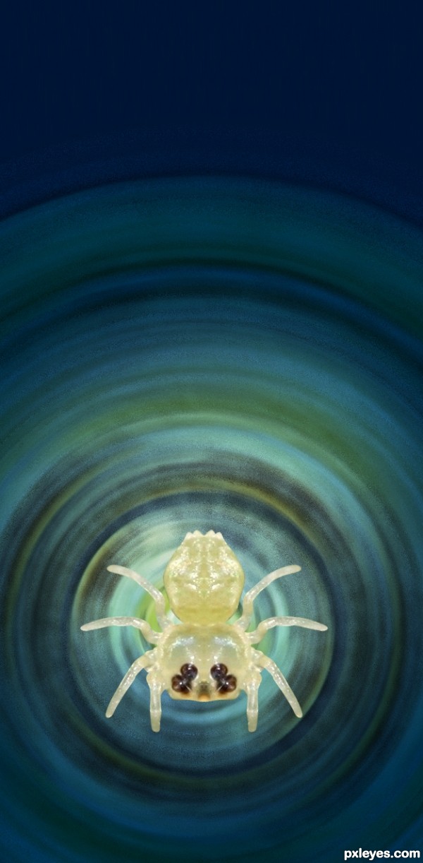 Creation of Spiders!: Step 4