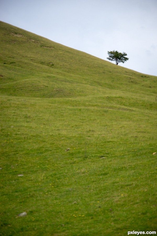 Alone in the slope...