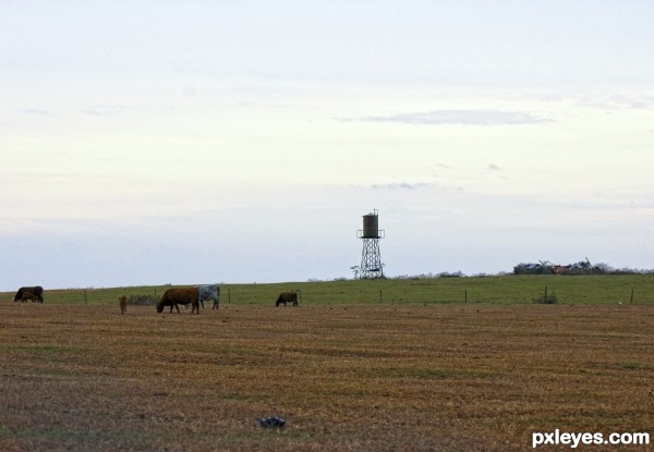 water tower