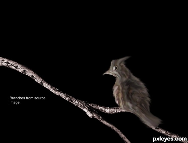 Creation of In The Forest: Step 4