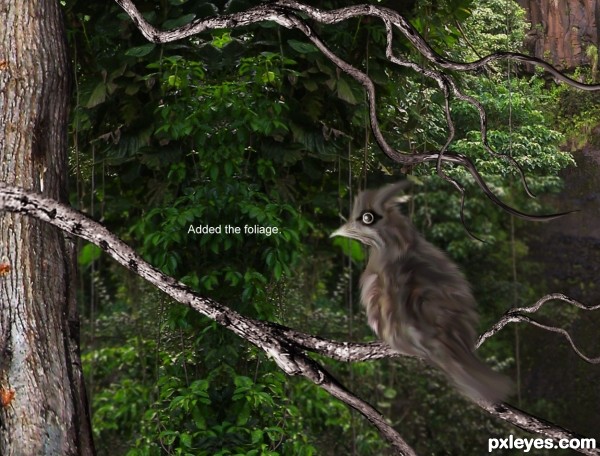 Creation of In The Forest: Step 6