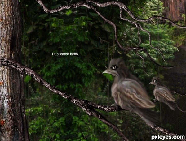 Creation of In The Forest: Step 8