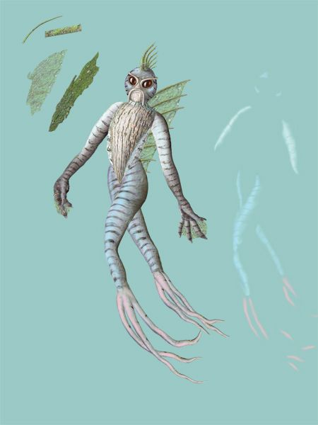 Creation of Ocean Life: Step 3