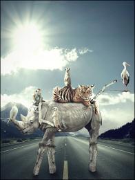 Equilibrium