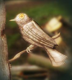 Wood Bird