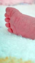 Cutebaby