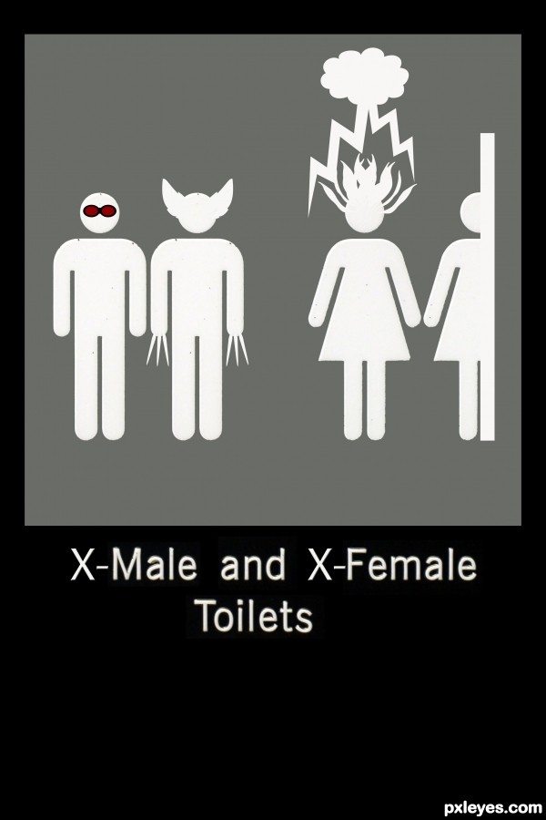 Creation of X-Male and X-Female Toilets: Final Result