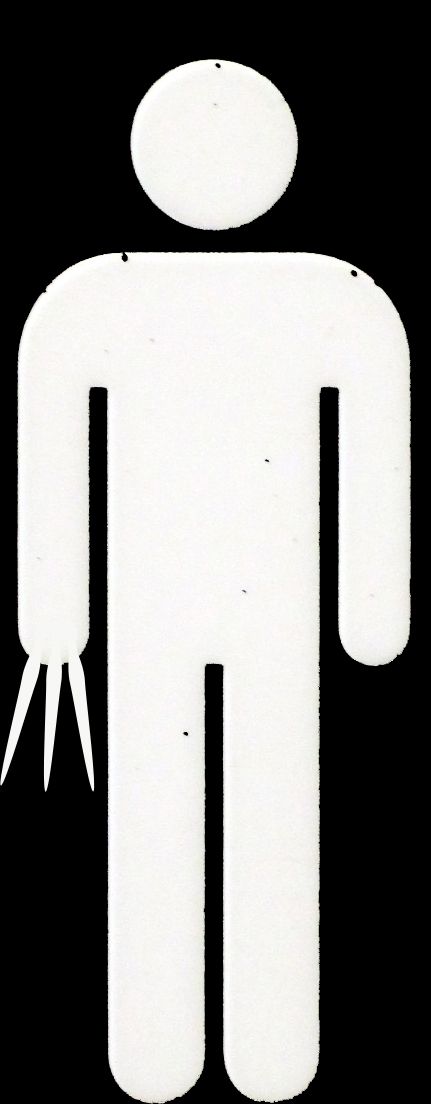 Creation of X-Male and X-Female Toilets: Step 2