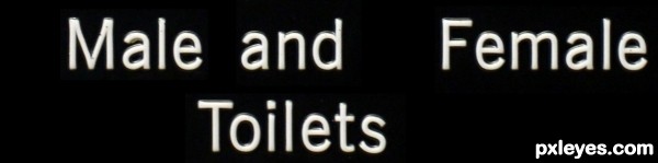 Creation of X-Male and X-Female Toilets: Step 13