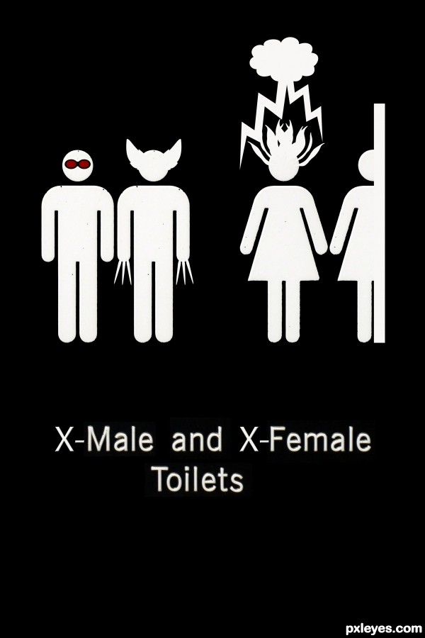 Creation of X-Male and X-Female Toilets: Step 15