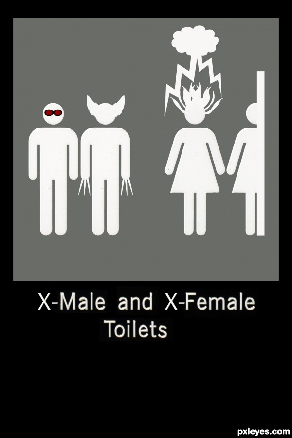 Creation of X-Male and X-Female Toilets: Step 16