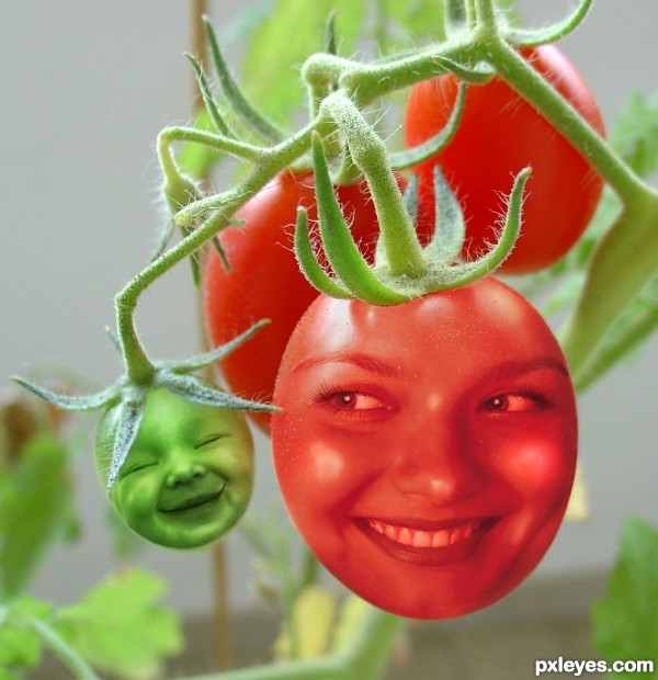 Tomato Tot