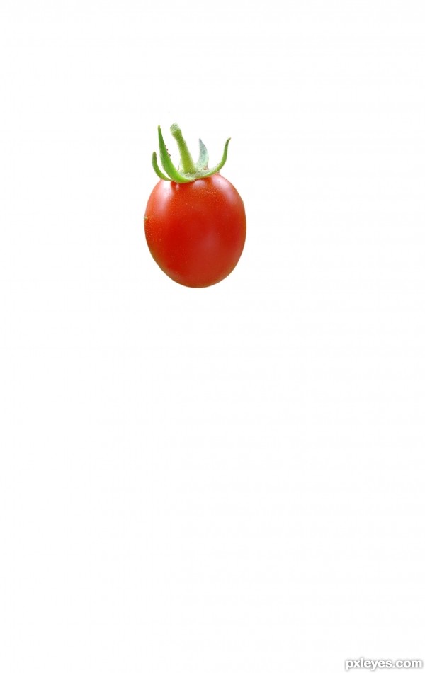 Creation of Tomato guy!: Step 1