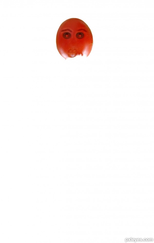 Creation of Tomato guy!: Step 2