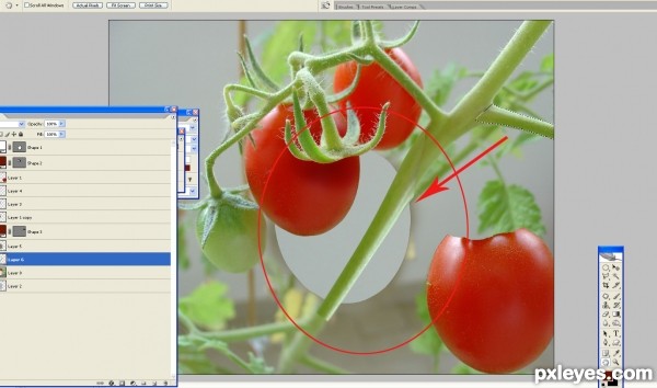 Creation of flying tomato: Step 2
