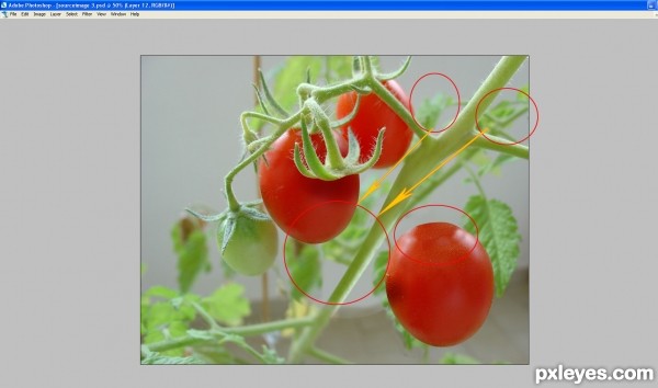 Creation of flying tomato: Step 3