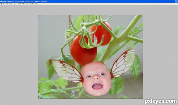 Creation of flying tomato: Step 4