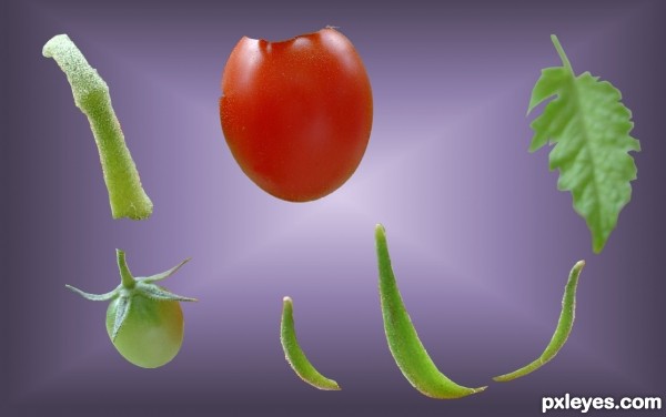 Creation of seeds of hope: Step 1
