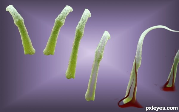 Creation of seeds of hope: Step 5