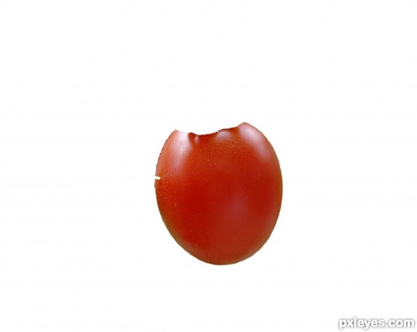 Creation of CRISTAL TOMATO: Step 4