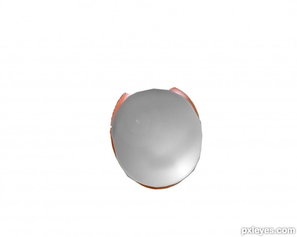 Creation of CRISTAL TOMATO: Step 7