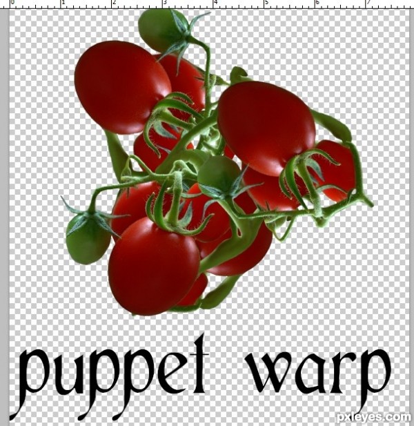 Creation of Tomato Juice: Step 3
