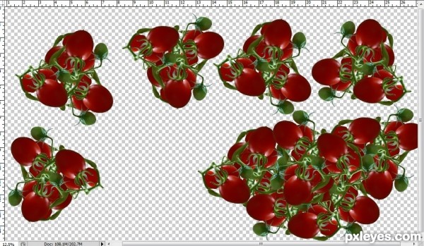 Creation of Tomato Juice: Step 4