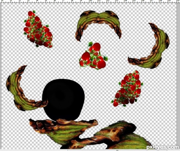 Creation of Tomato Juice: Step 6
