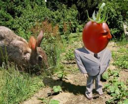 heytheremrtomatohead