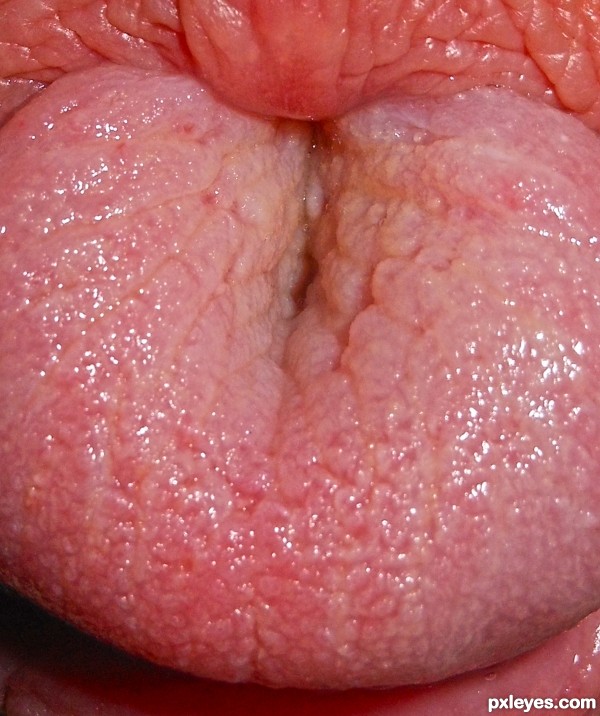 Tongue roll
