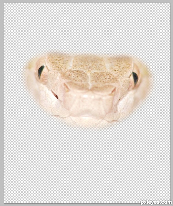 Creation of Camouflage: Step 2