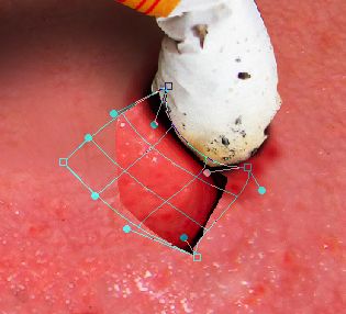 Creation of Butt: Step 3
