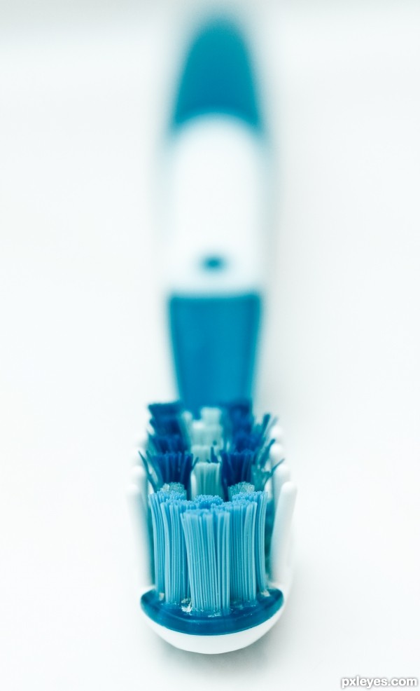 Toothbrush I