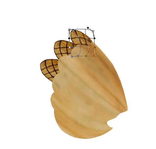 Creation of No Fishing: Step 3