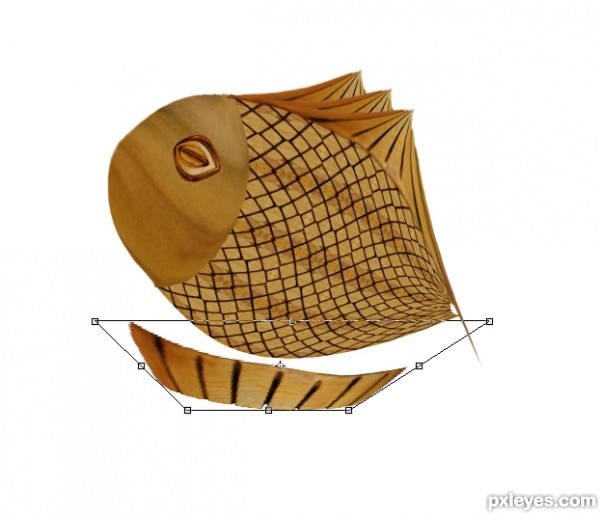 Creation of No Fishing: Step 11