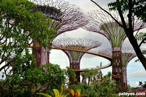 Creation of Gardens by the Bay: Final Result