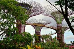 Gardens by the Bay